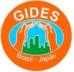 Guidelines for Debris Flow Countermeasures